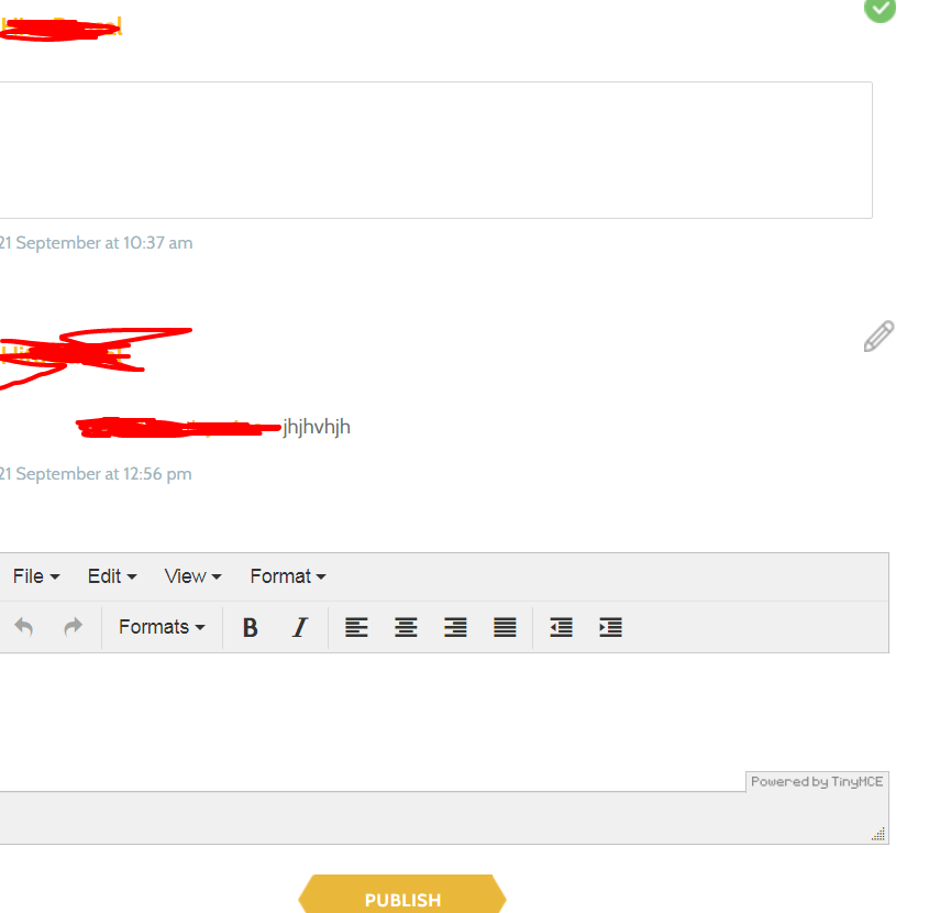 javascript TinyMCE not working inside my custom directive Stack