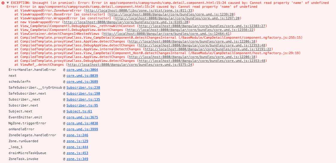 angular EXCEPTION Uncaught (in promise) Error caused by Cannot