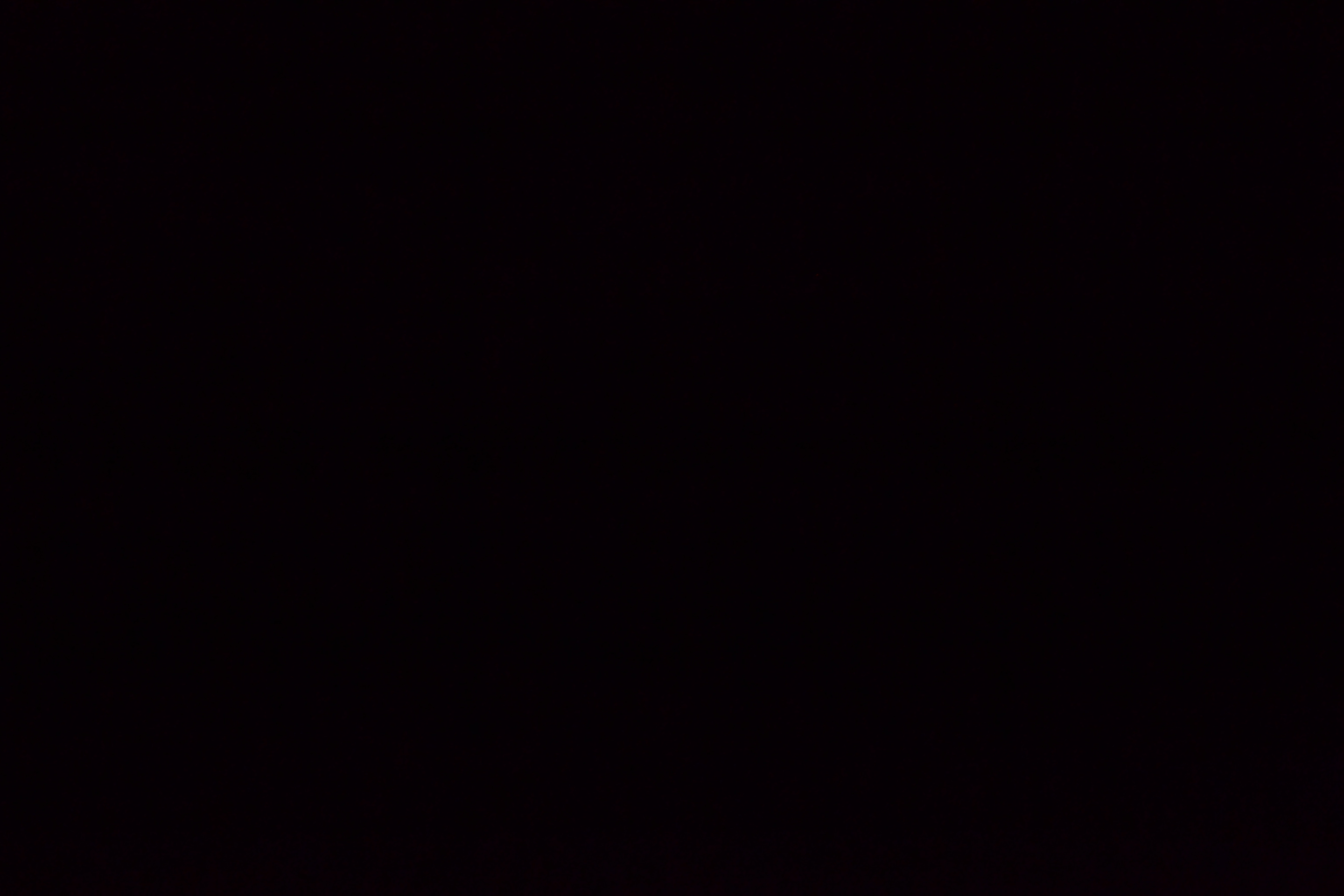 troubleshooting Nikon D3100 taking black images. Stuck shutter