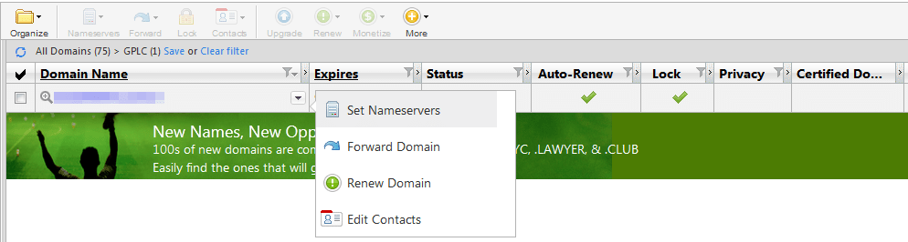 dns Cannot remove nameservers in GoDaddy when moving away from their