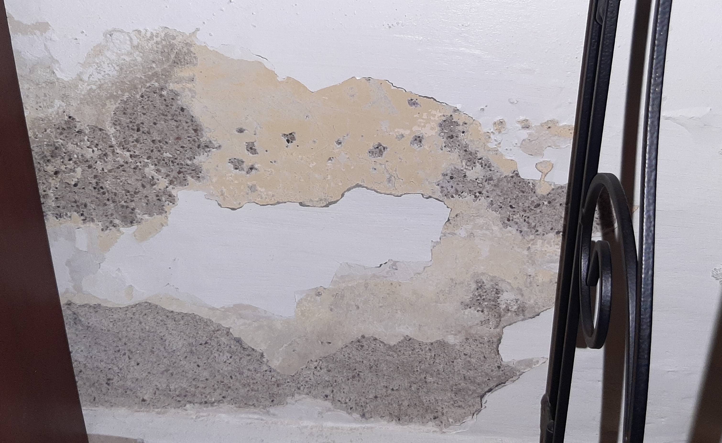 repair Fixing wall with constant moisture over the years Home