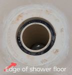 plumbing fixture - See Picture, securing shower floor to flange? Finish
