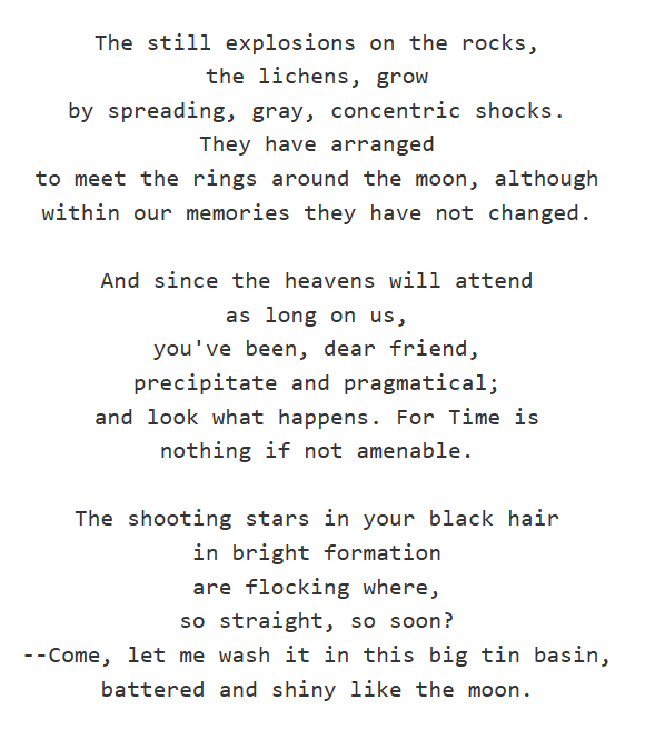 poetry What does "The Shampoo" written by Elizabeth tell