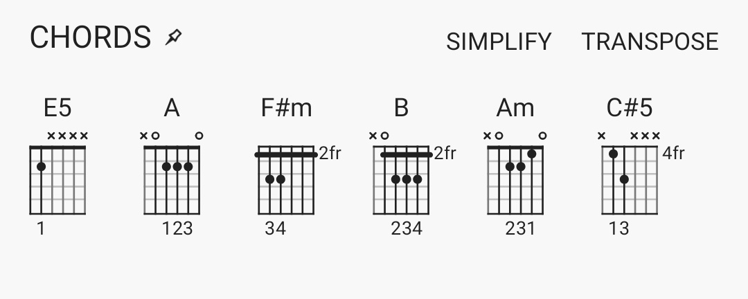 Guitar