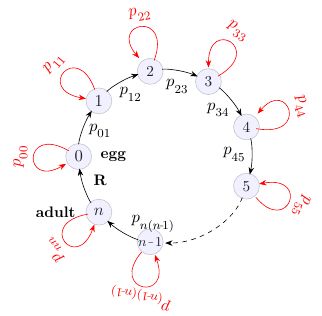 How to draw circular markov chain n numer of state diagram in Latex