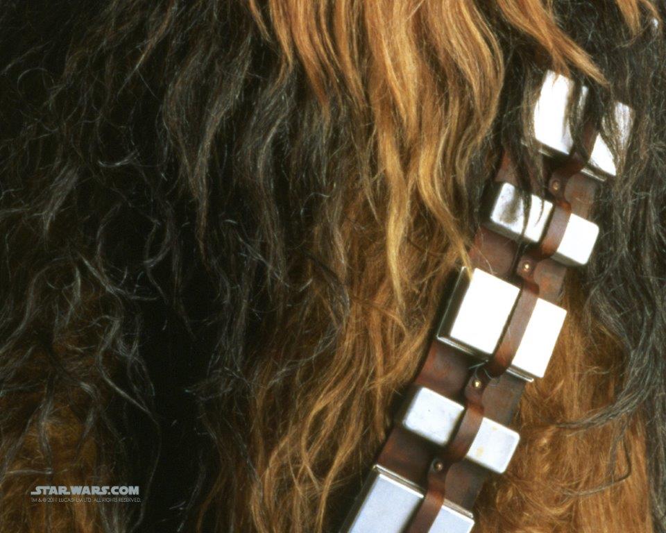 What type of hair was used in the construction of Chewbacca's costume