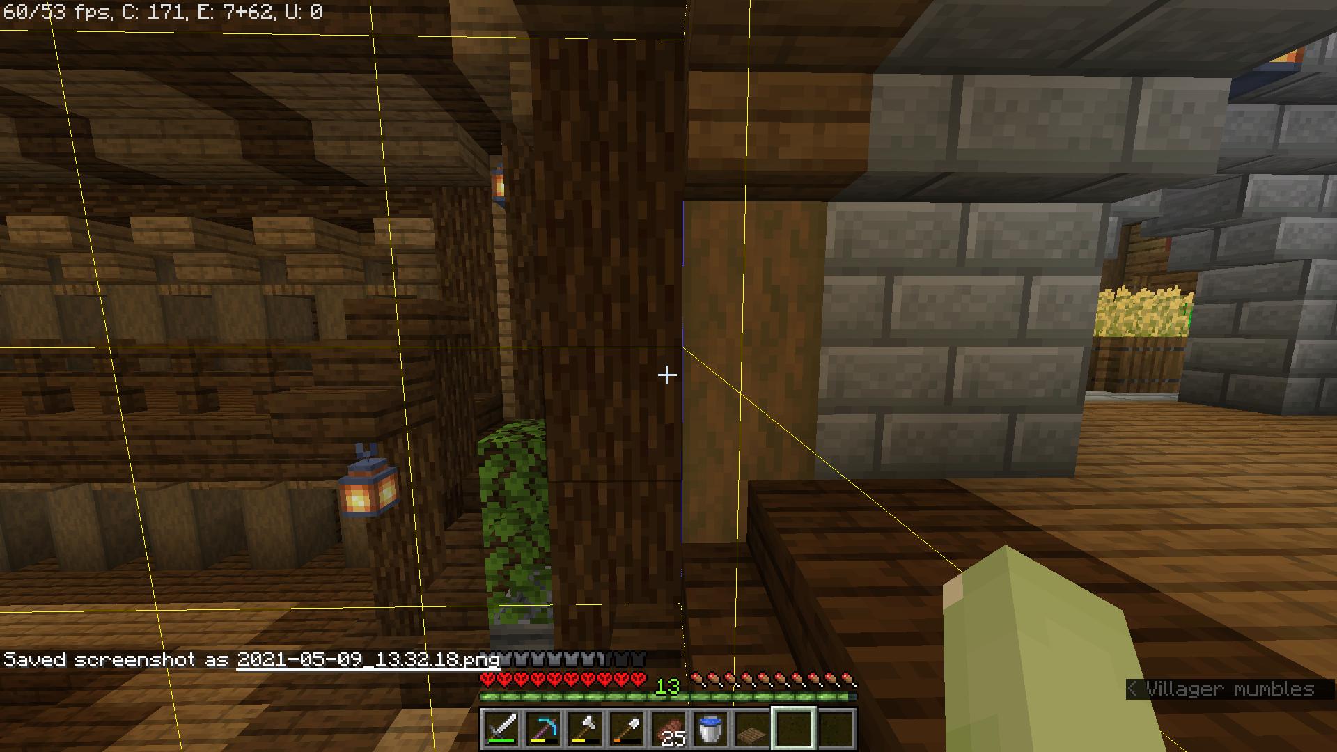 minecraft java edition Loaded chunk visibly disappears when in one