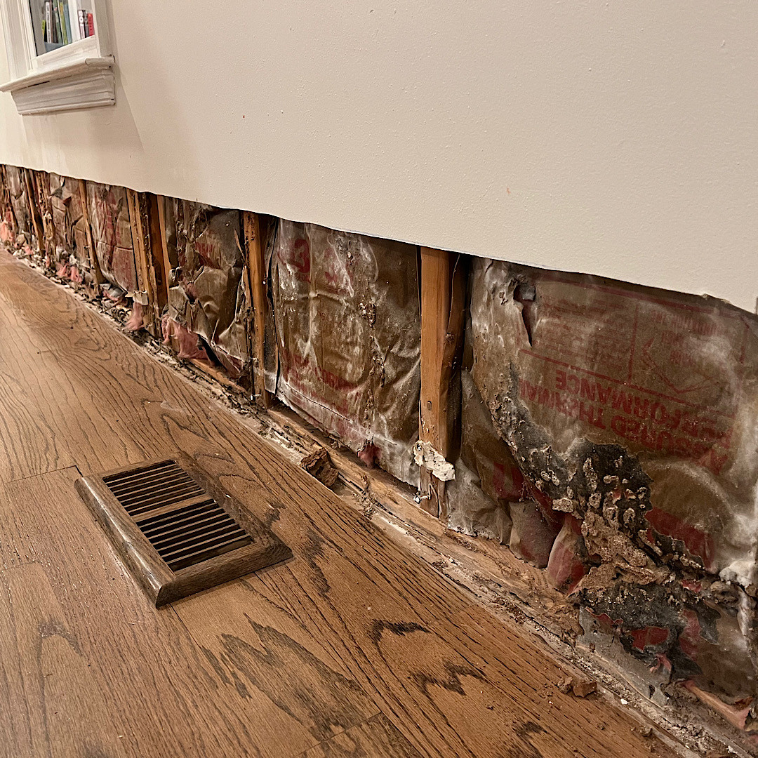 walls How much old termite damage is acceptable? Home Improvement