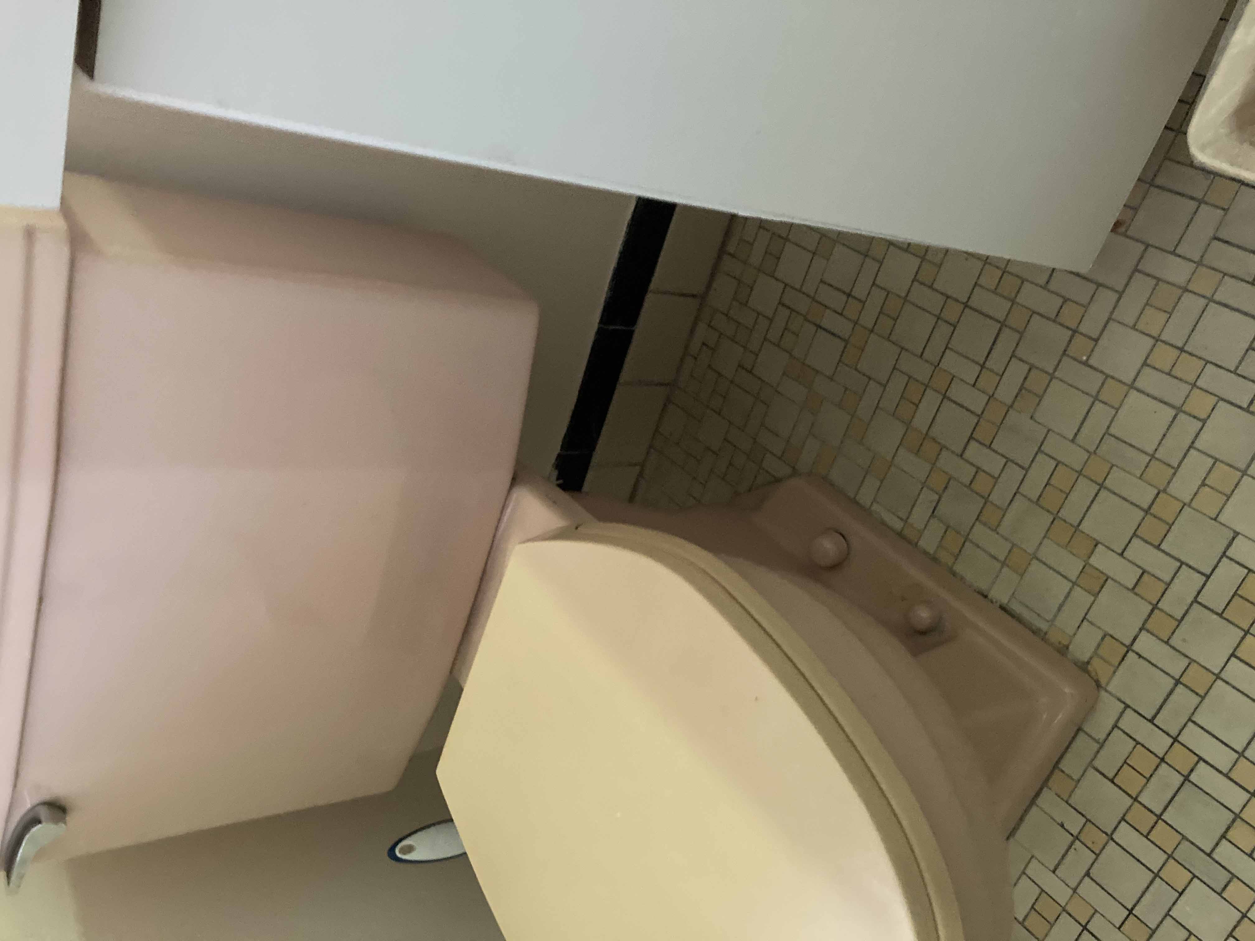 How to find replacement toilet seat (American Standard) Love