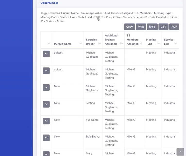javascript JS Datatables Toggle Show/Hide with responsive auto
