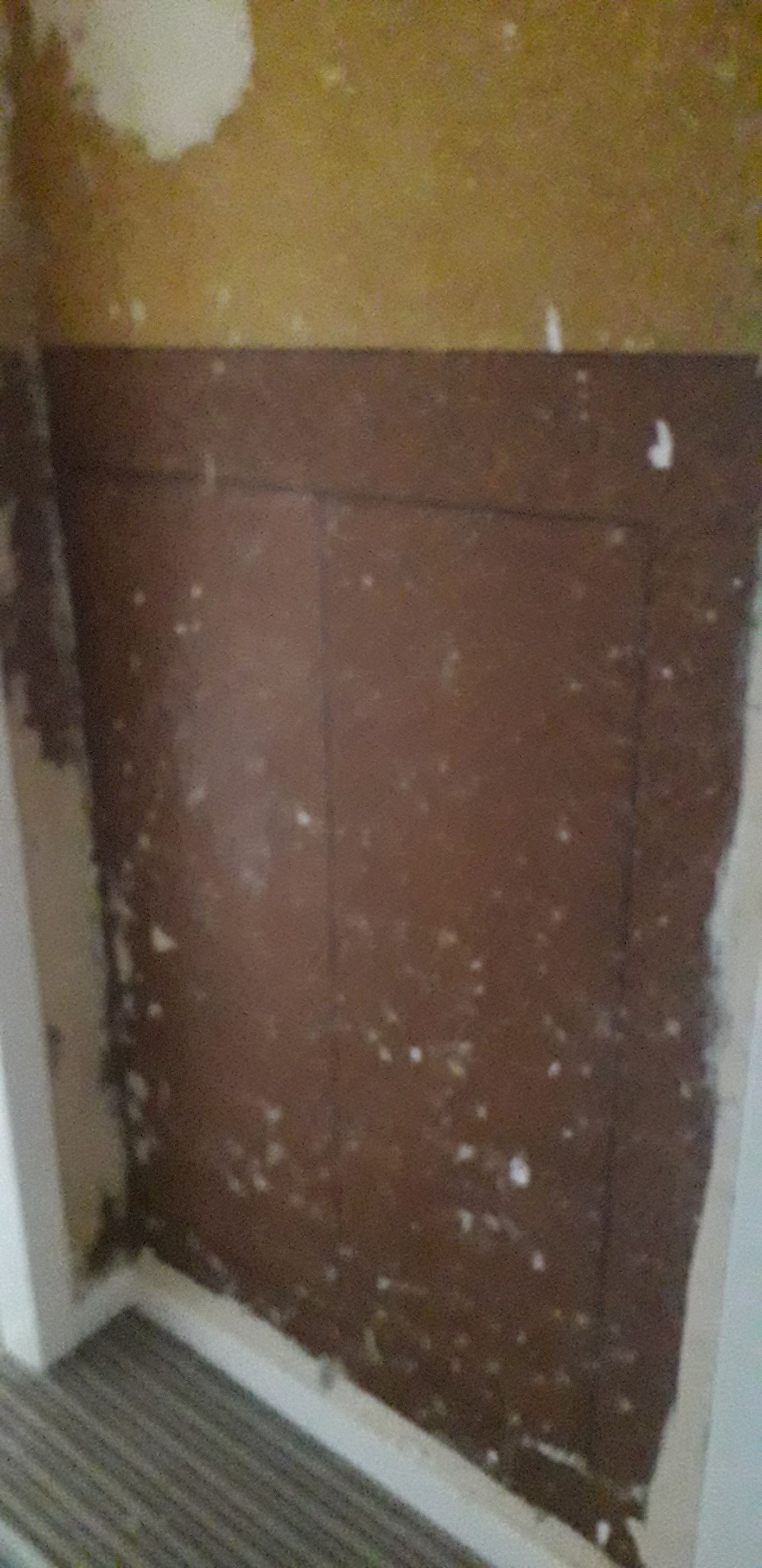 repair Can I plaster over this? Home Improvement Stack Exchange