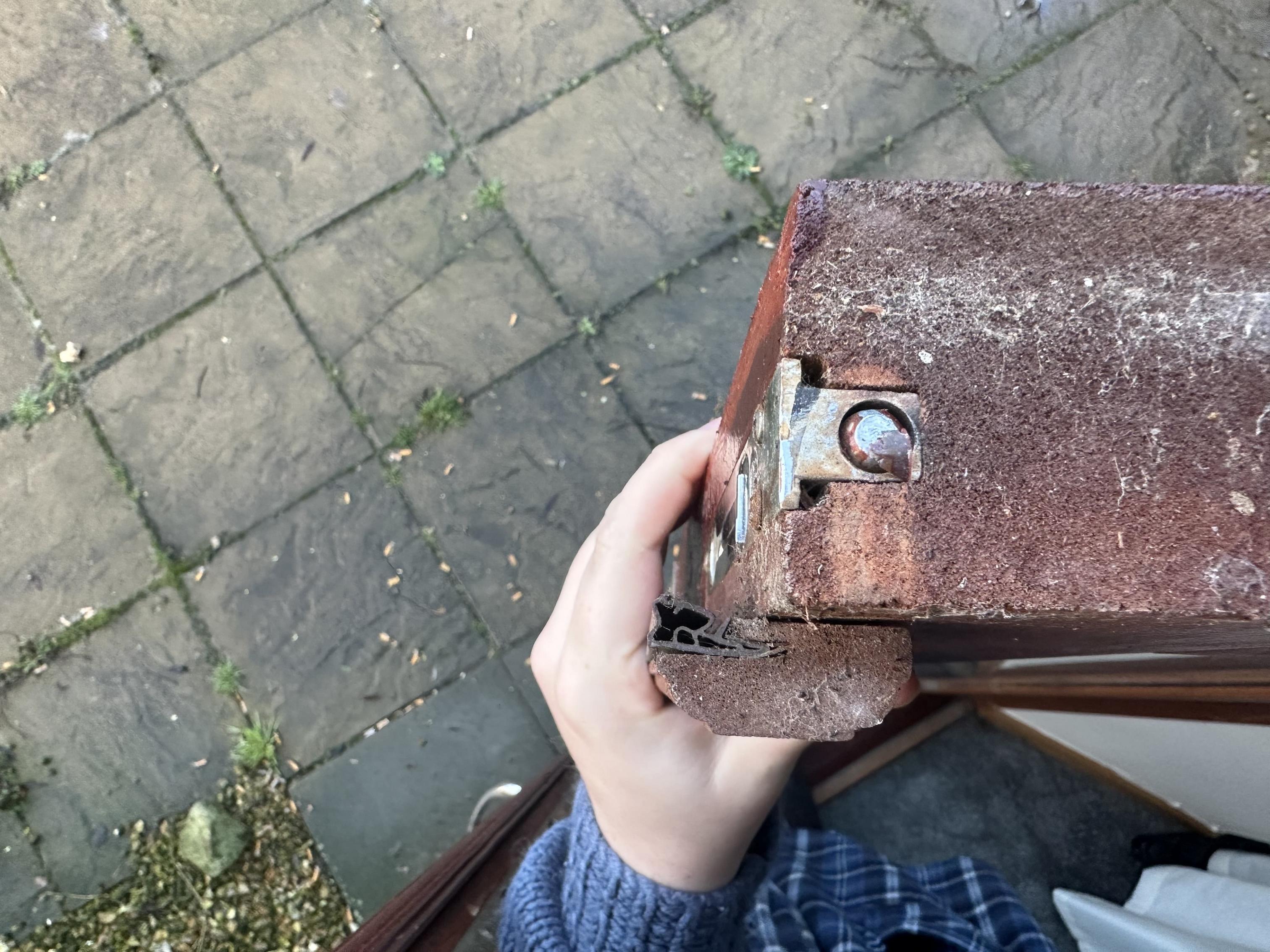 wood Repair damage from dog scratching wooden door Home Improvement