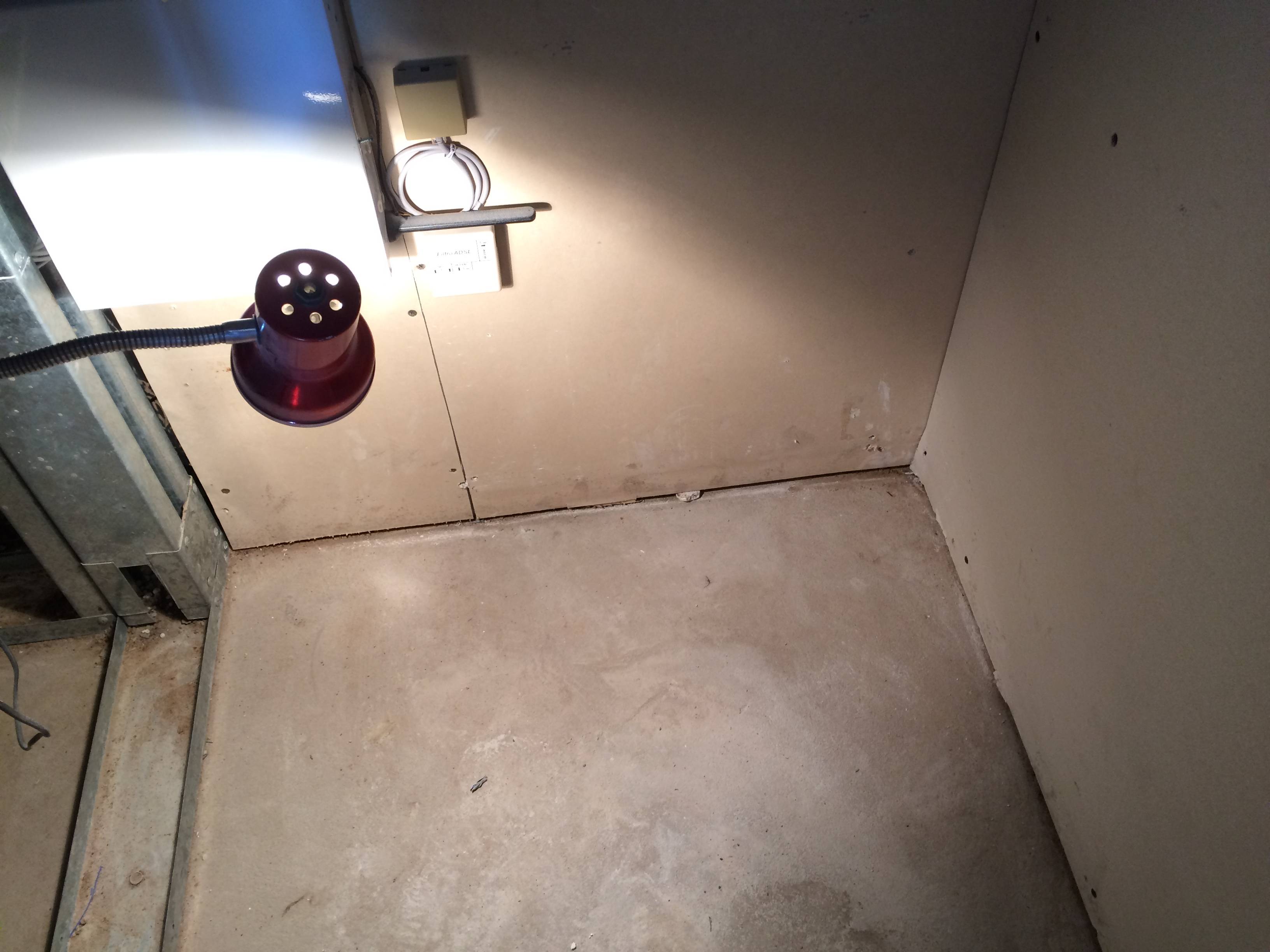 drywall Water leaking through exterior floor and wall base Home