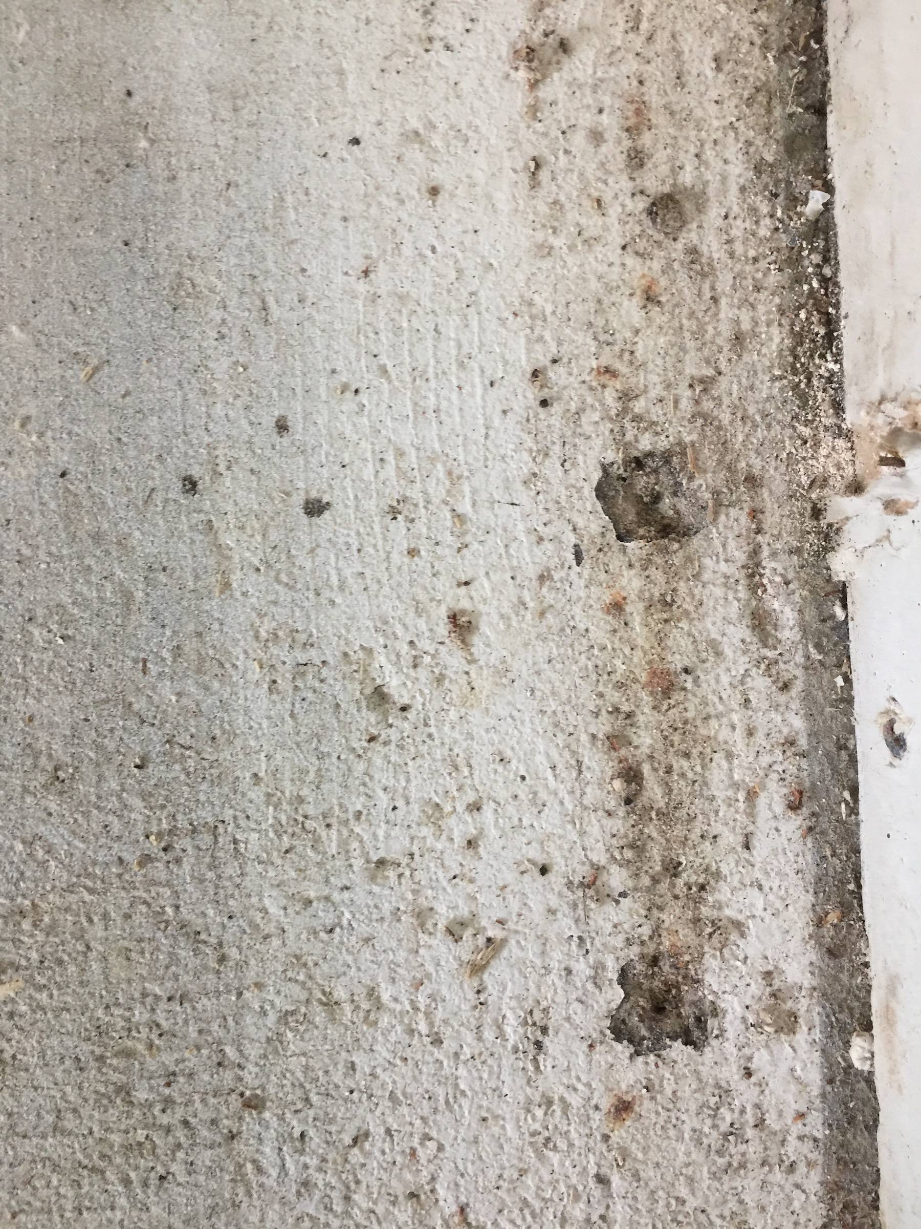 removal What is this white textured paintlooking stuff on my