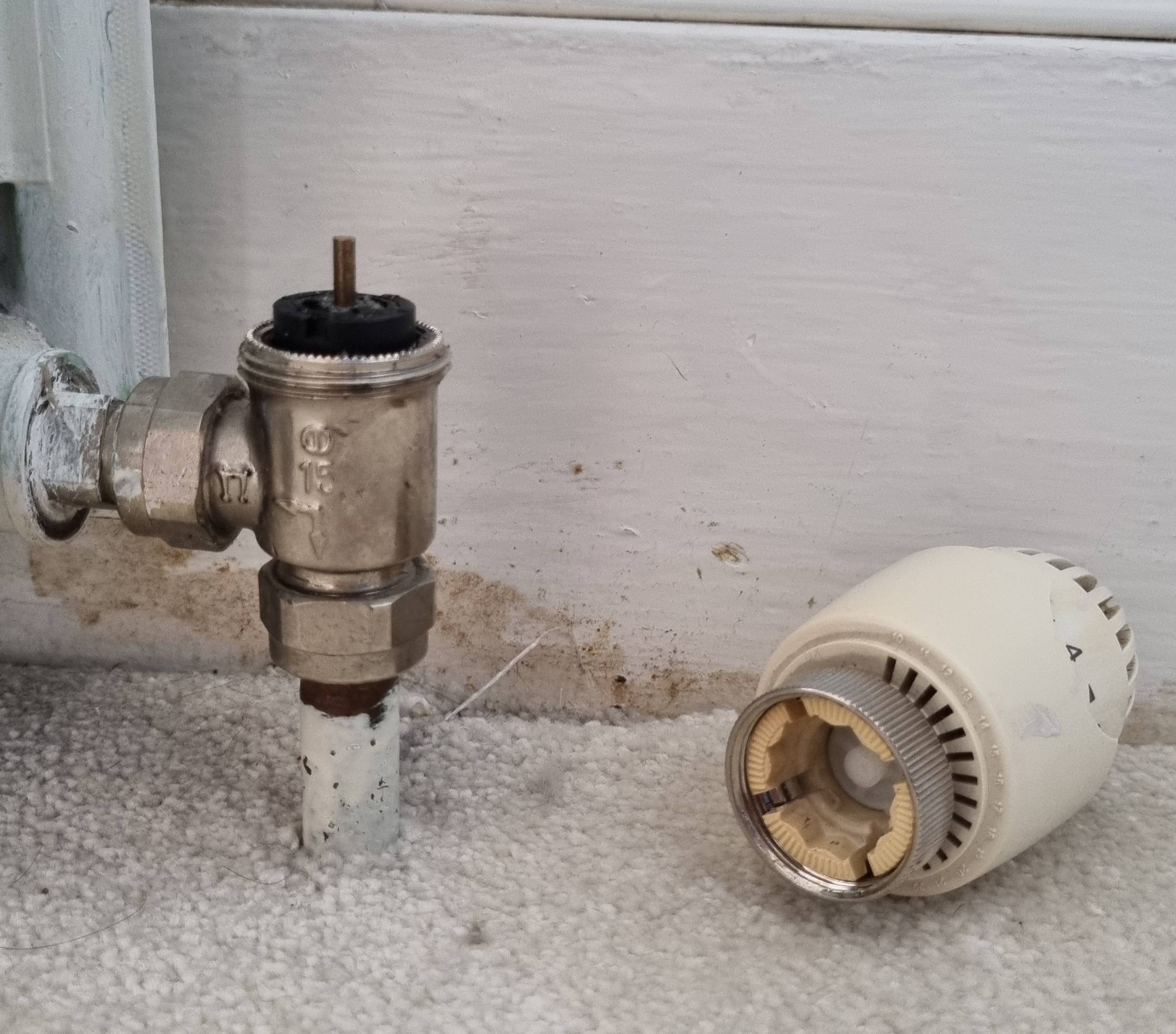 valve Radiator suddenly stopped heating, removed TSV and it heated