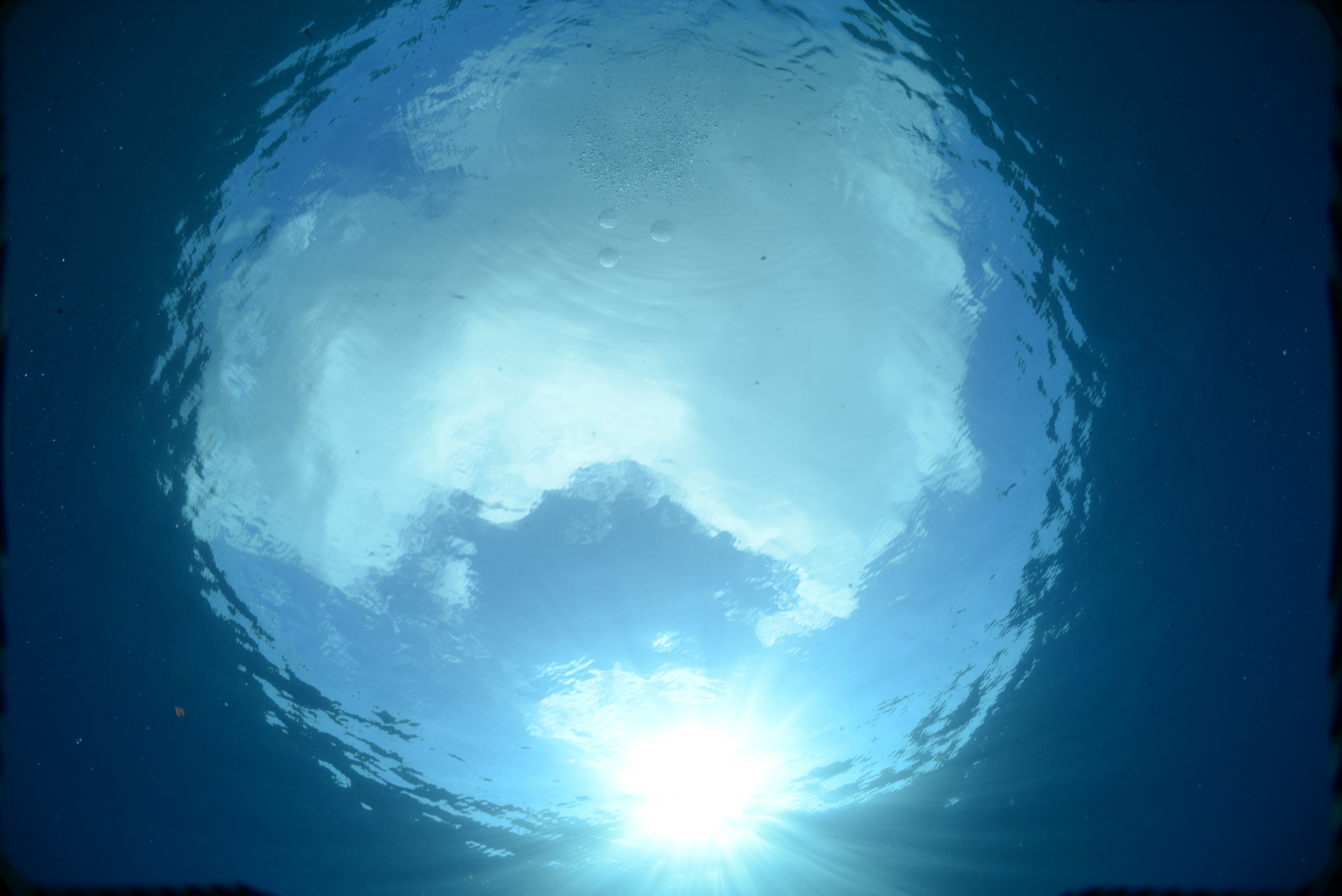 [Physics] Fish eye view problem Math Solves Everything