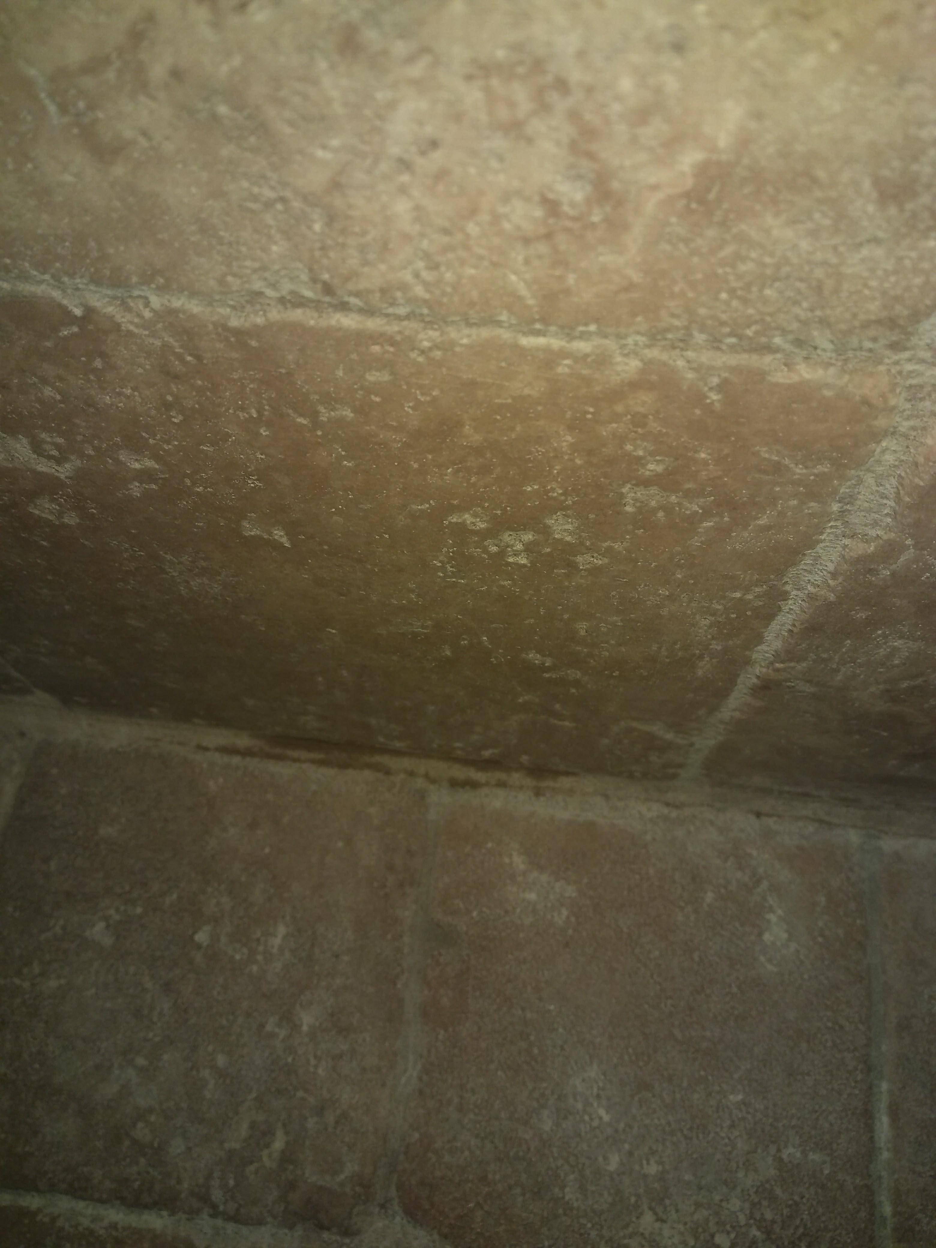 Shower Water seeping from grout in tile shower Love & Improve Life