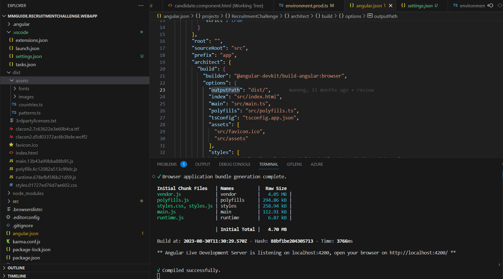 angular The dist folder contain only assets folder after running ng