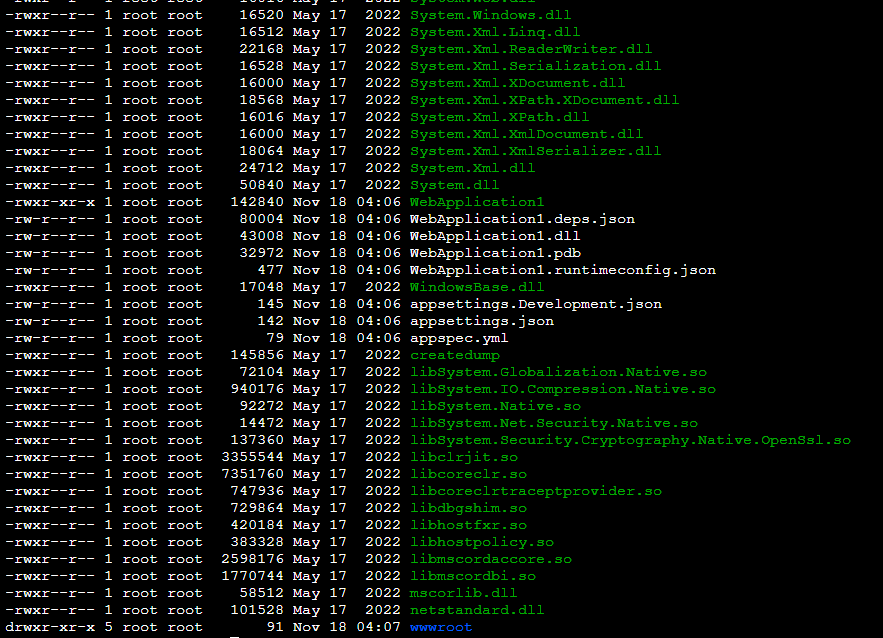 Core Application not Running in AWS Linux EC2 instance instead
