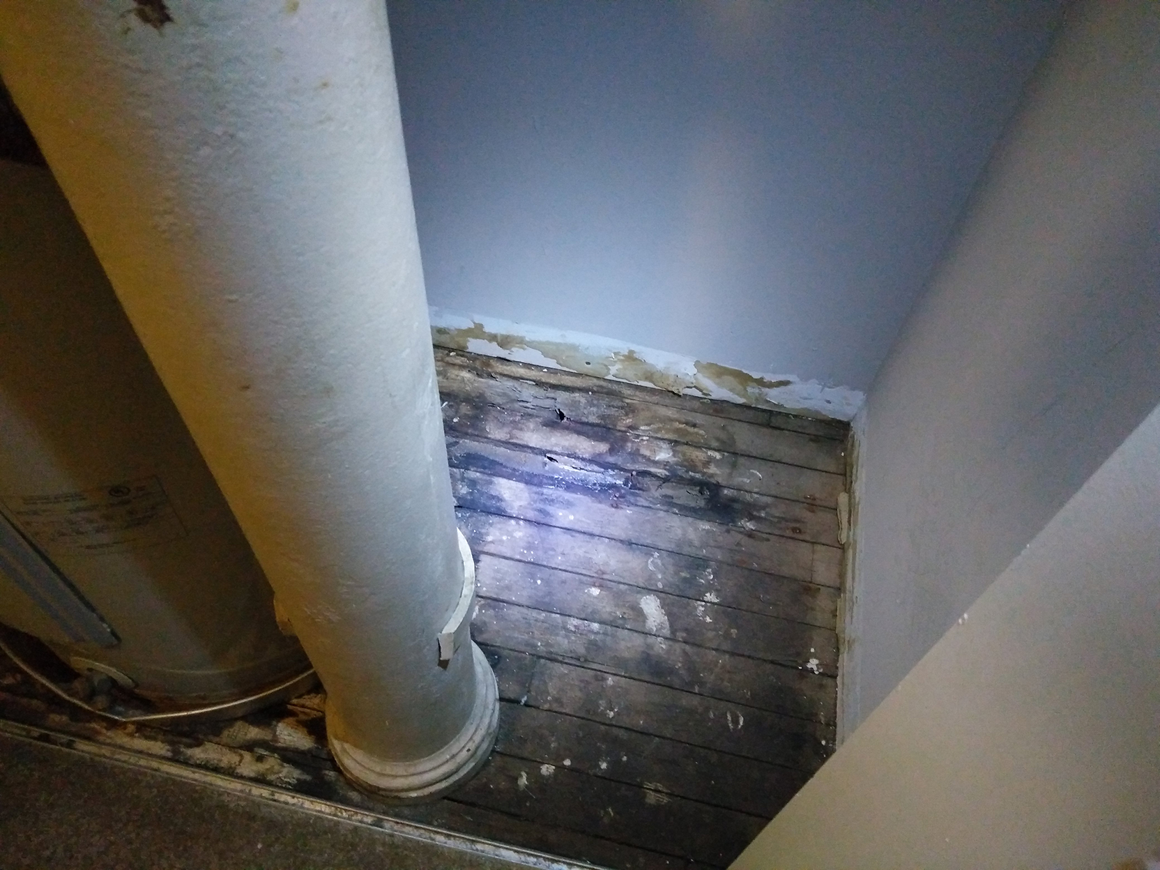 Is this mold in my apartment? Home Improvement Stack Exchange