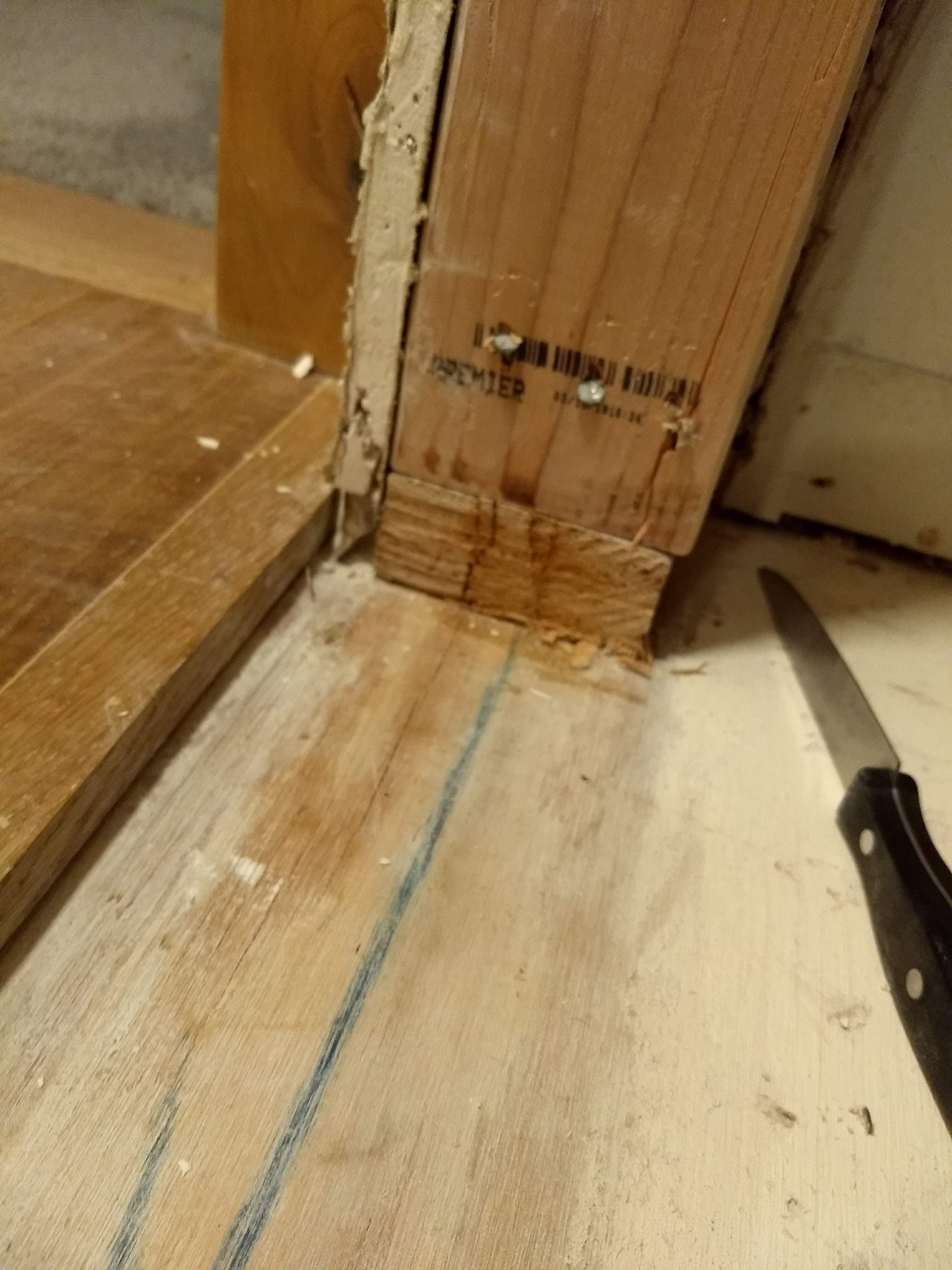 framing in a new doorway and split out the bottom plate. now what