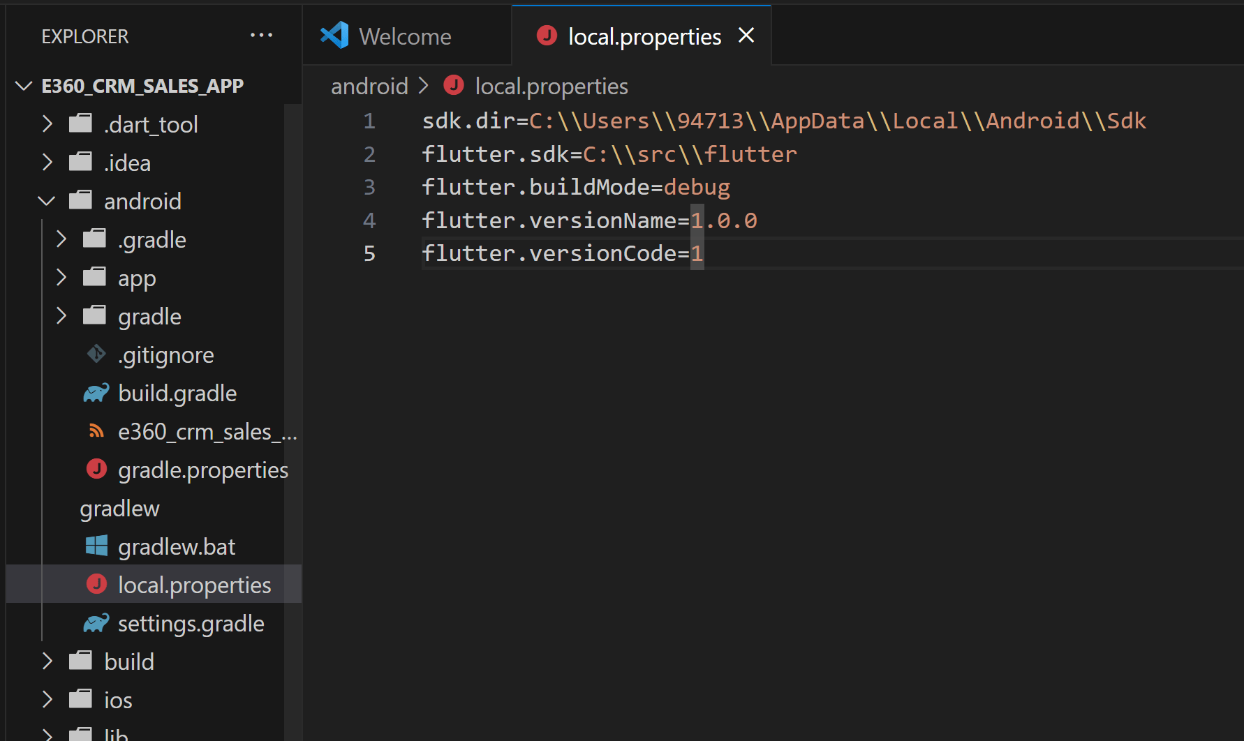Flutter Project and run Android emulator in VS code getting environment