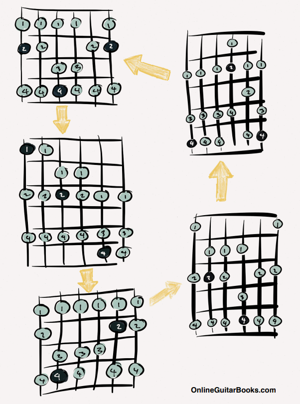 theory Why does a guitar scale shape have more than 7 notes? Music