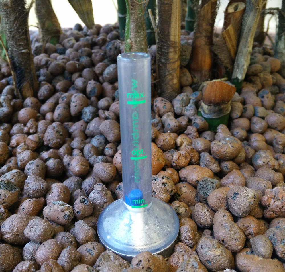 watering How much water do these hydroponic office plants need