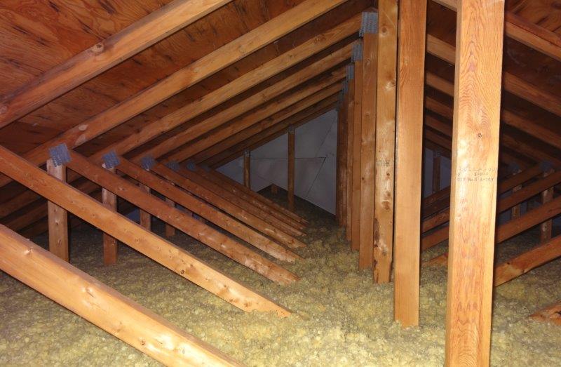 Walls Shower divider wall load bearing Love & Improve Life