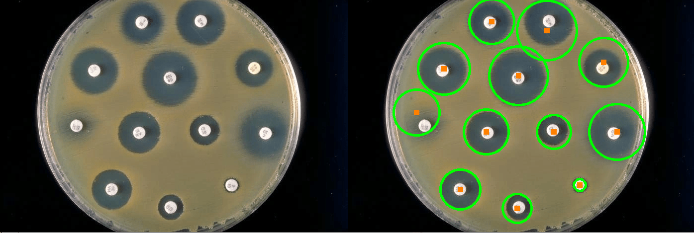 的Python散点图与可变标记的颜色和大小，再加上一个图例 VoidCC