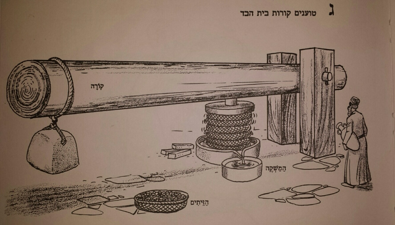 technology What does an olive press look like? Mi Yodeya