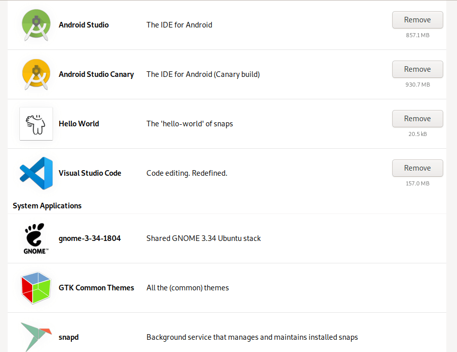 installation of snapstore in kali linux 2020.4 Unix