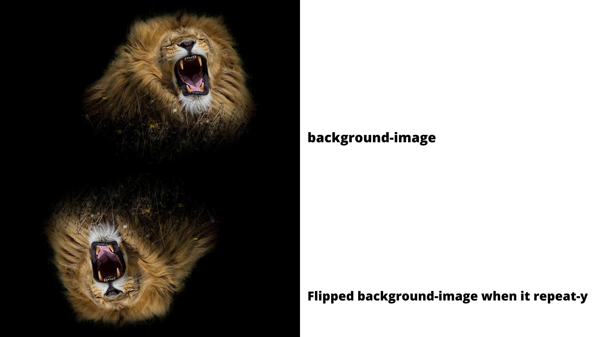 How Do I Flip A Background Image In Teams at Mason Saunders blog