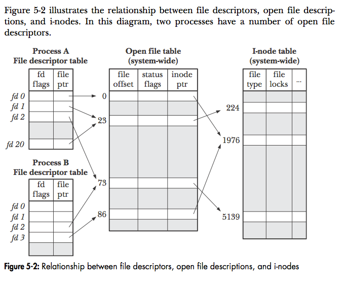 linux forkしたプロセスから共有するファイルディスクリプタへの書き込みについて スタック・オーバーフロー
