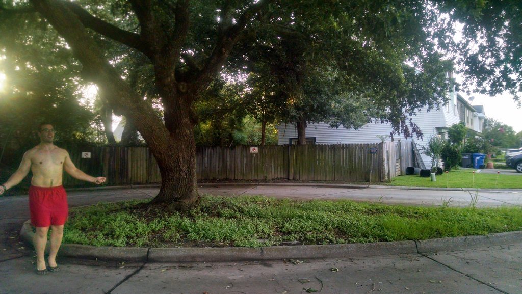 A fabulous word for a small wooded area English Language & Usage