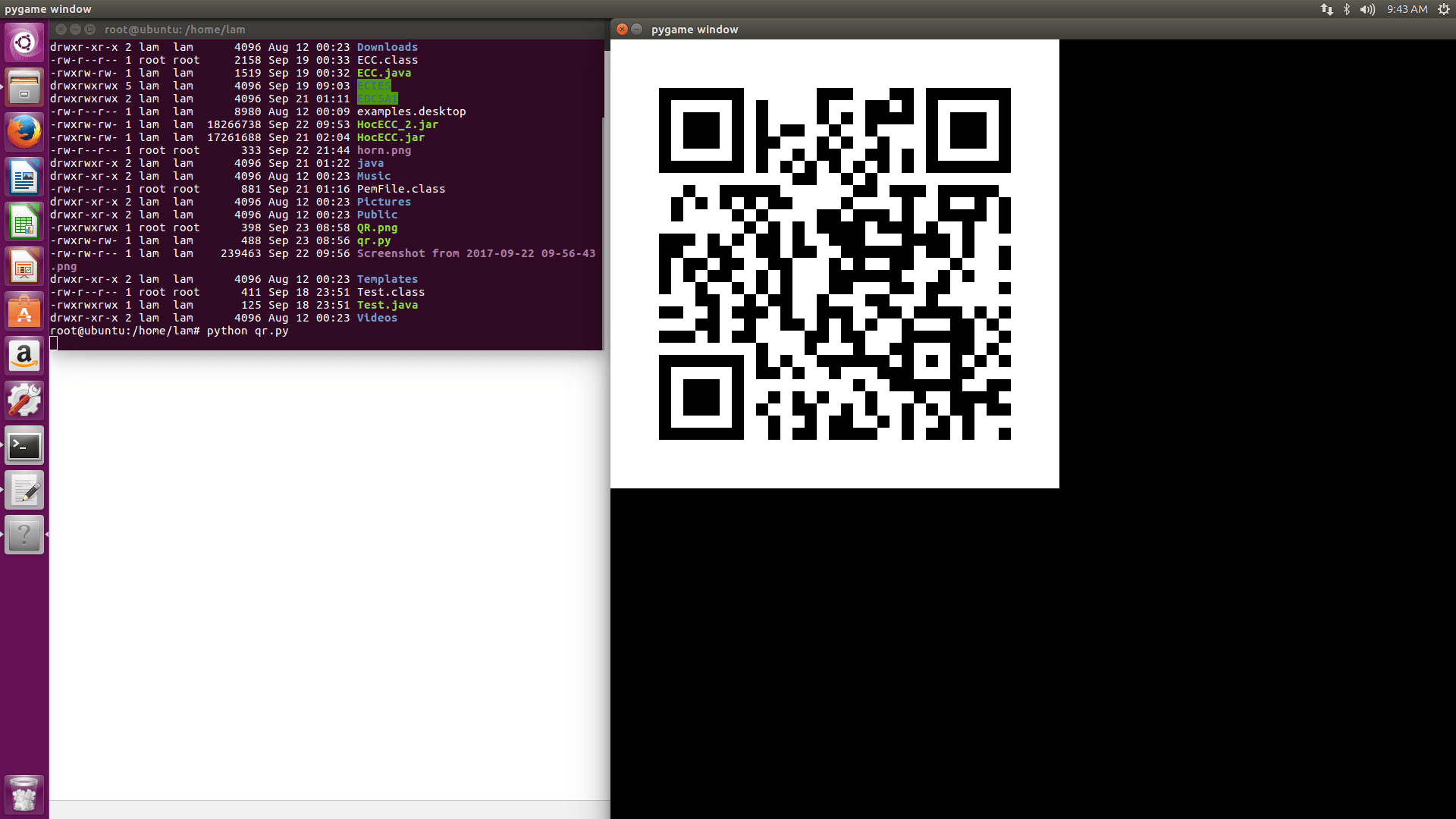pygame Show and flip image using python Stack Overflow