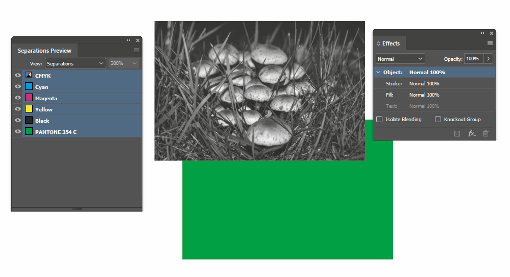 adobe Creating a duotone with one color as the background