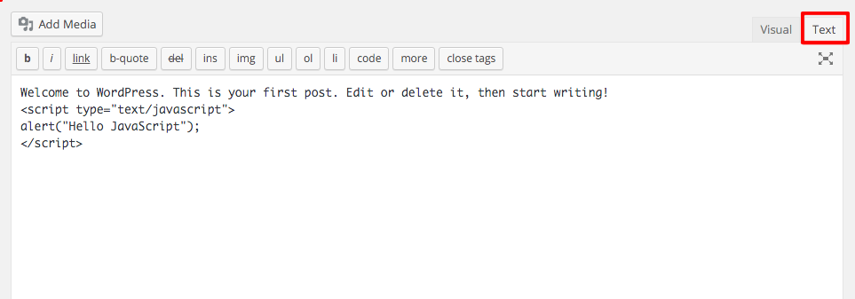 Browser is showing Javascript code instead of processing it WordPress