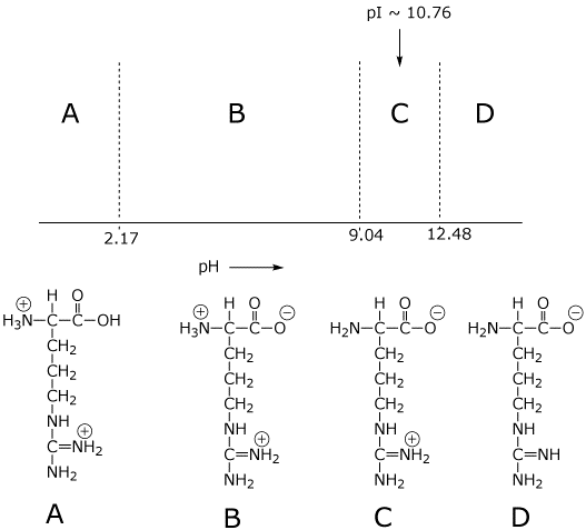 acid base Why isn't the side chain of arginine totally protonated at