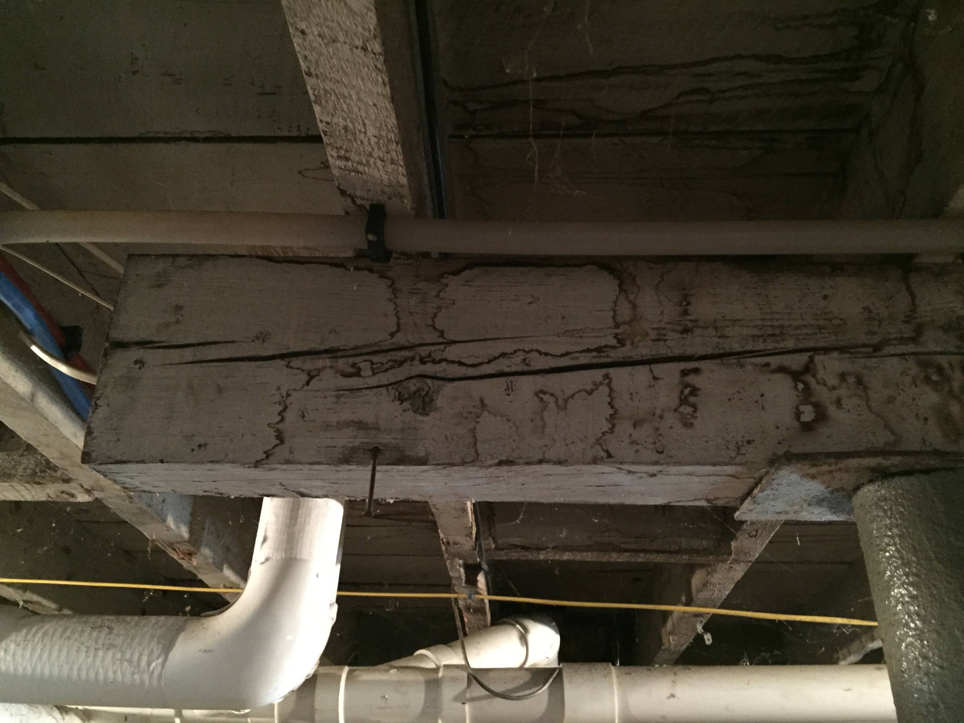 basement Support Beam Splitting Home Improvement Stack Exchange