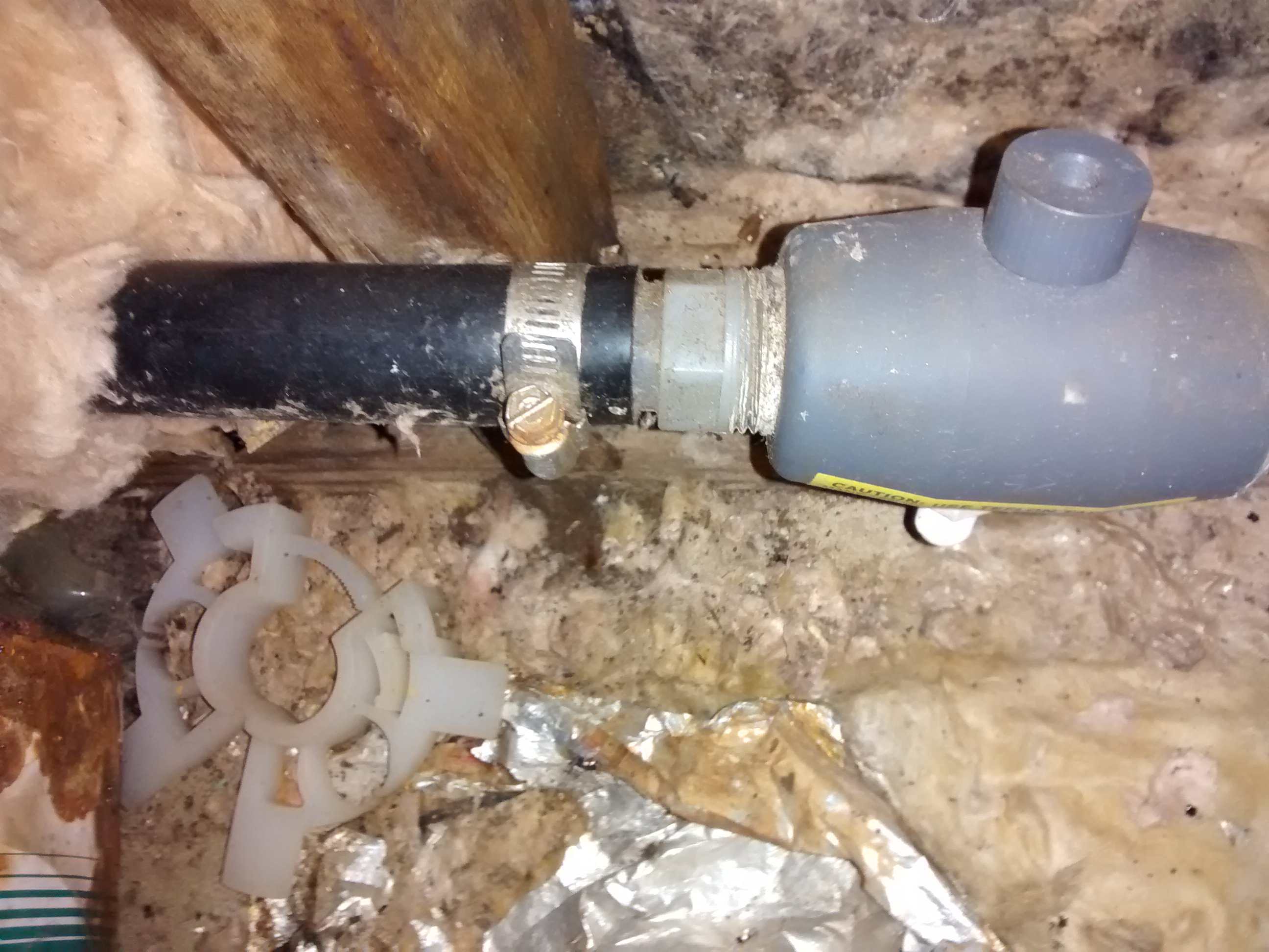 plumbing What is this gray thing thing on a main water line right