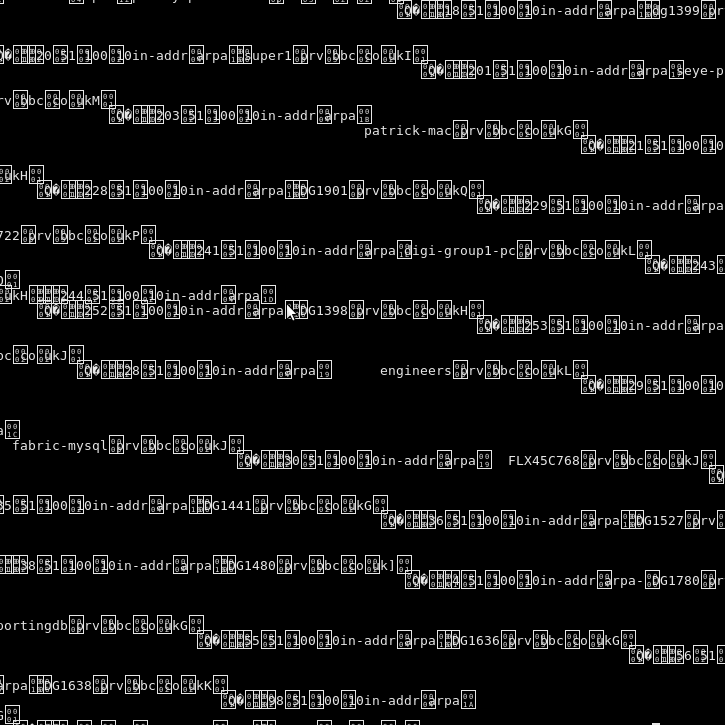 domain name system Slave DNS server (bind) zone files transffered but