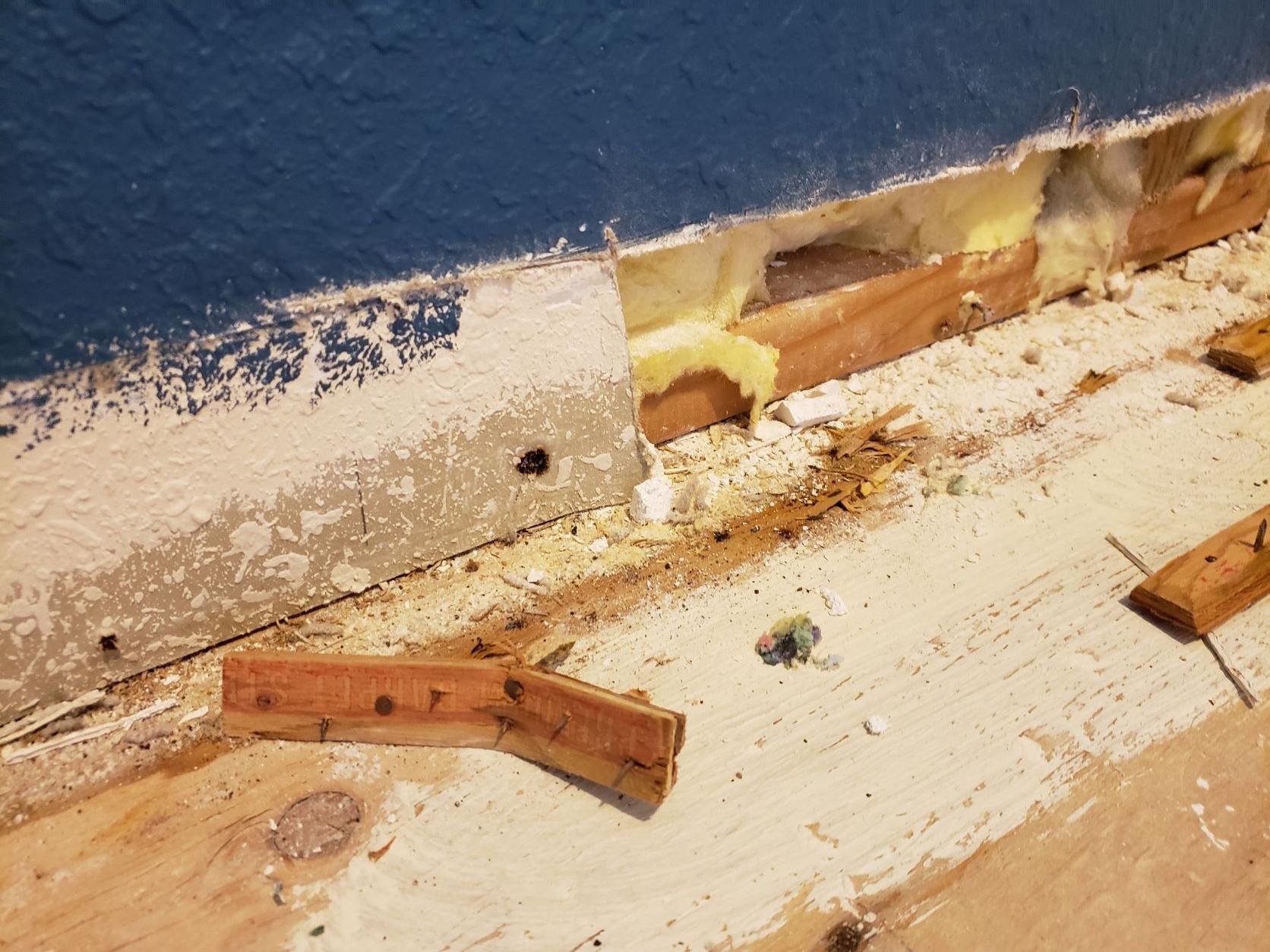 water Why are the edges of our subfloor wet after rain, but the walls