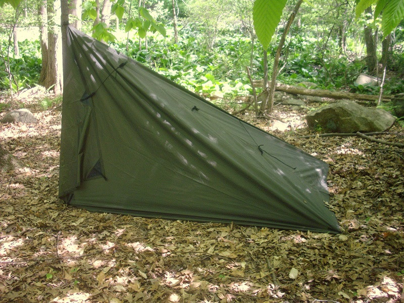 camping What is a good tarp setup for very high winds above the tree