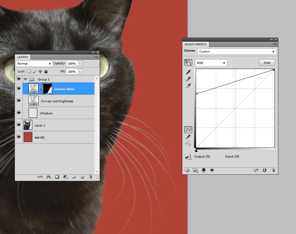 workflow How to isolate a cat's whiskers from background in 2020? Graphic Design