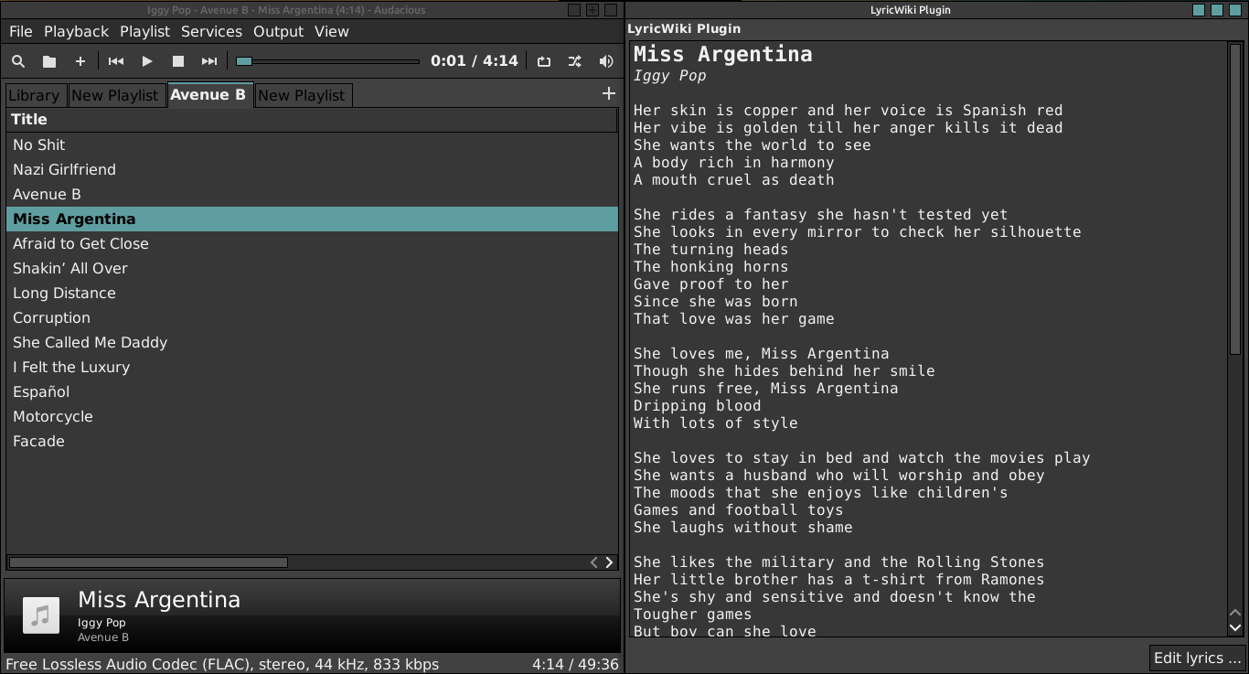 music player How to display lyrics of songs? Ask Ubuntu