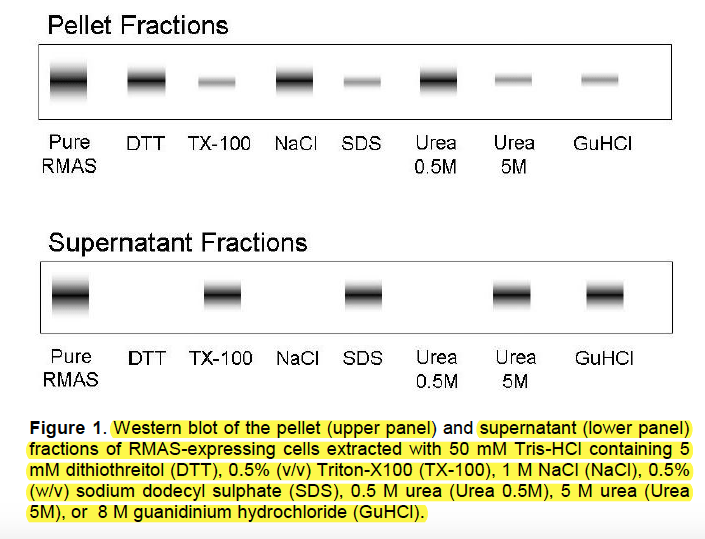優雅 尿素 水素 結合 写真と画像