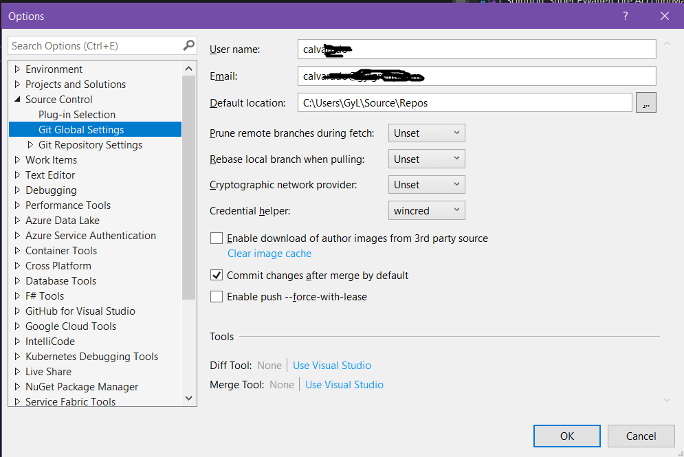 git Cannot determine the organization name for this 'dev