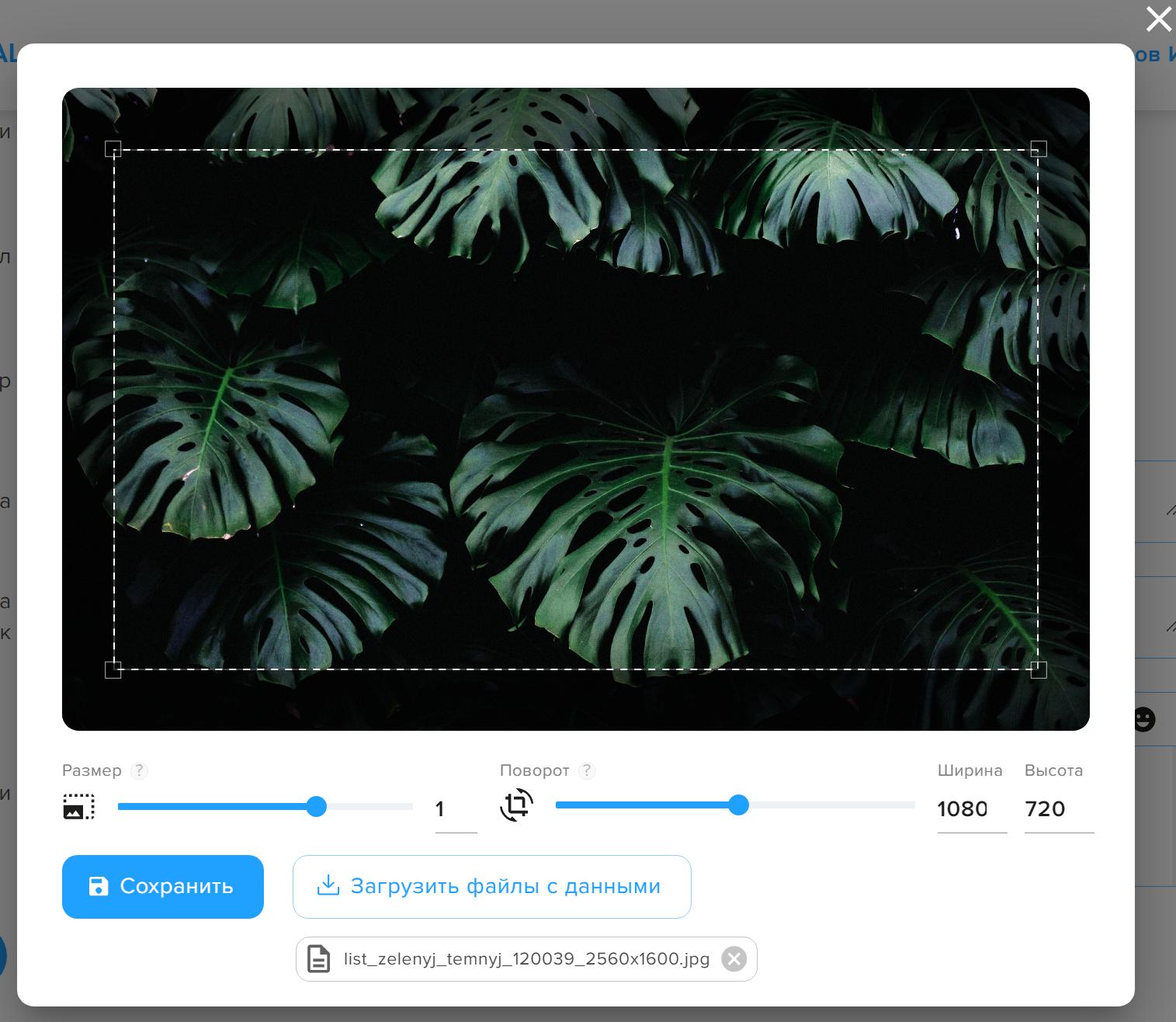 css How to style imagecropping feature inside a modal using material