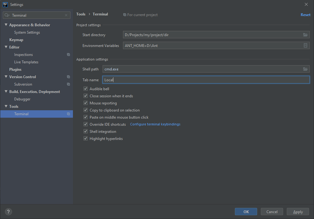 IntelliJ why does the terminal has different environment